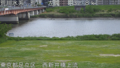 arani2026050414_image