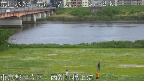 arani2026050415_image