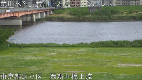 arani2026050416_image