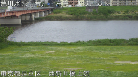 arani2026050417_image