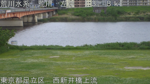 arani2026050418_image