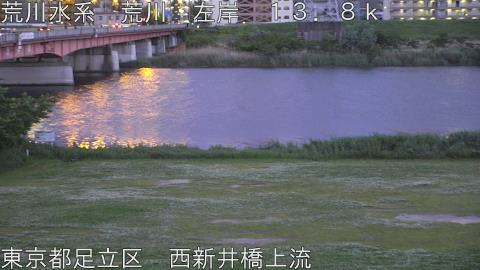 arani2026050419_image