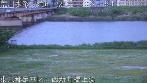 arani2026050505_image