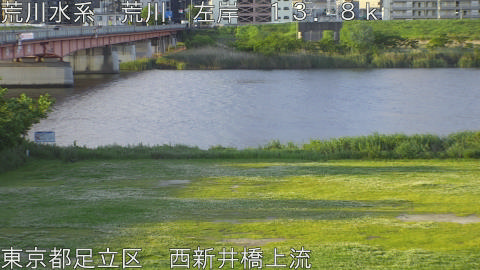 arani2026050506_image