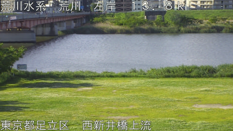 arani2026050507_image