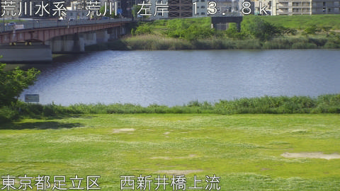 arani2026050508_image