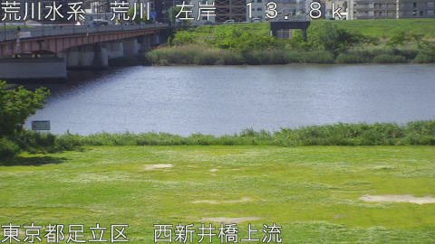 arani2026050509_image