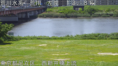 arani2026050510_image