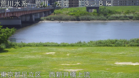 arani2026050511_image
