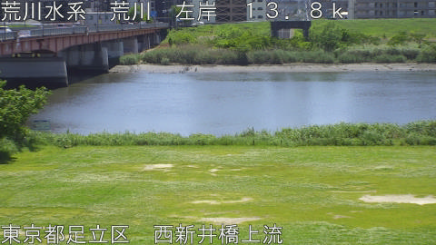 arani2026050512_image
