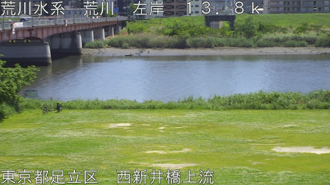 arani2026050513_image