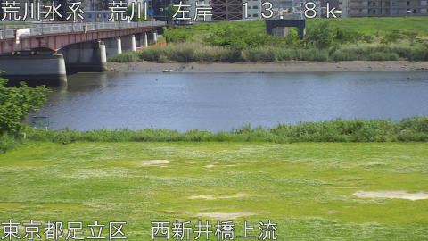 arani2026050514_image