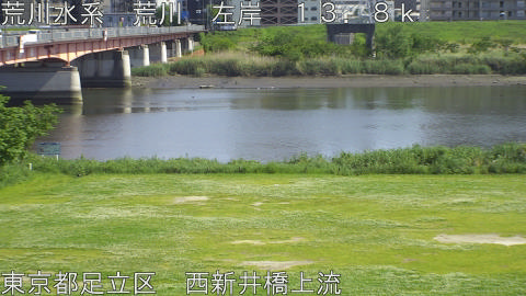 arani2026050515_image