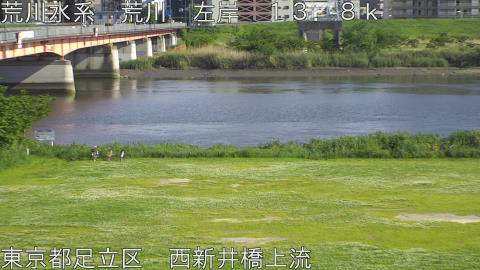 arani2026050516_image