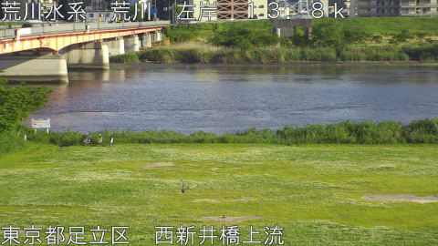 arani2026050517_image