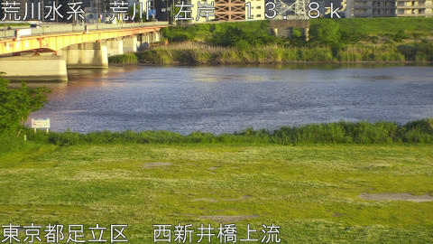 arani2026050518_image