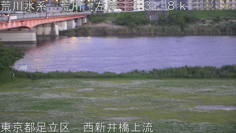 arani2026050519_image