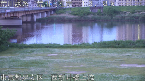 arani2026050605_image