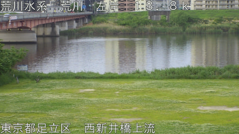 arani2026050606_image