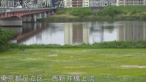 arani2026050607_image
