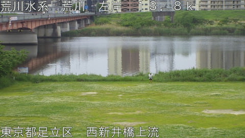 arani2026050608_image