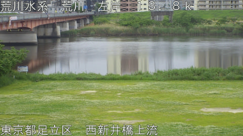 arani2026050609_image