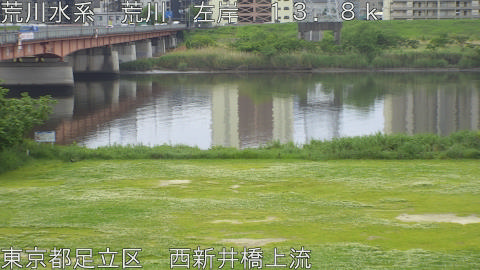 arani2026050610_image