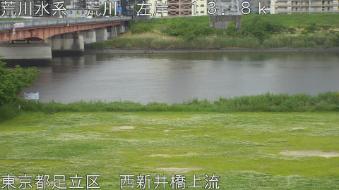 arani2026050611_image