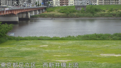 arani2026050612_image