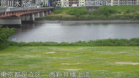 arani2026050613_image