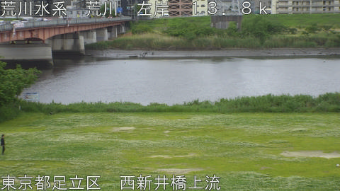 arani2026050614_image