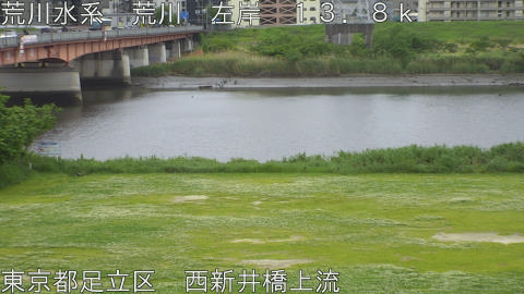 arani2026050615_image