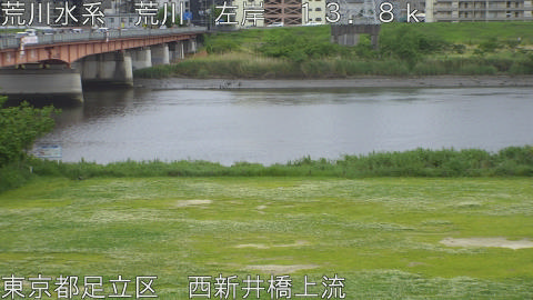 arani2026050616_image