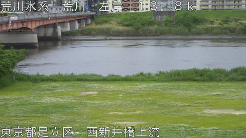 arani2026050617_image