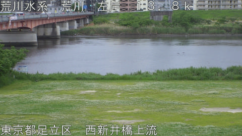arani2026050618_image