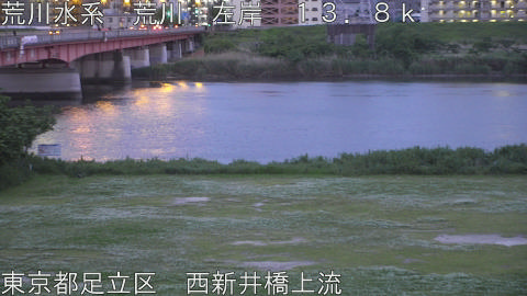 arani2026050619_image