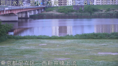 arani2026050705_image