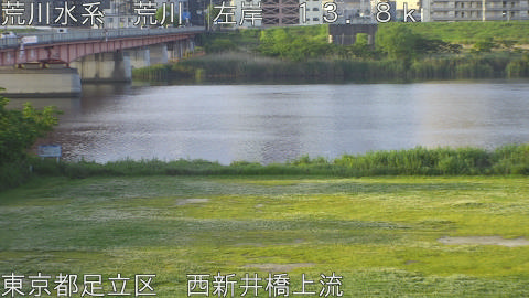 arani2026050706_image