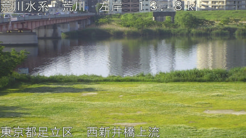 arani2026050707_image