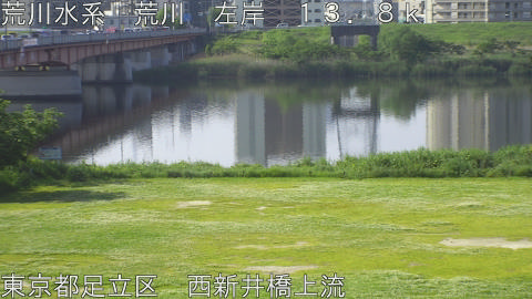 arani2026050708_image
