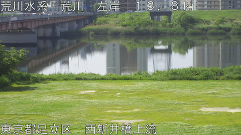arani2026050709_image