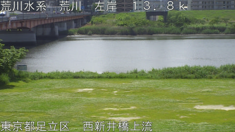 arani2026050711_image