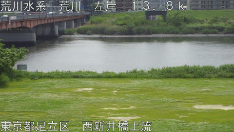 arani2026050712_image