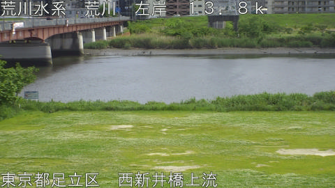 arani2026050714_image