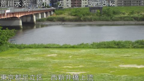 arani2026050715_image