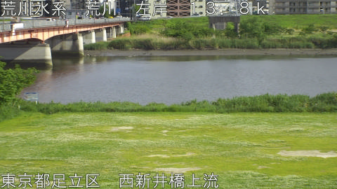 arani2026050716_image