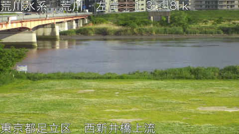 arani2026050717_image