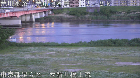 arani2026050719_image