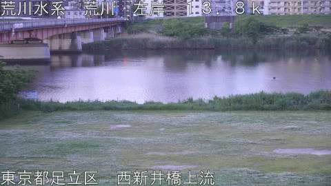 arani2026050805_image