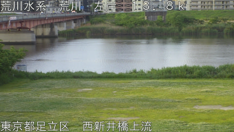arani2026050806_image